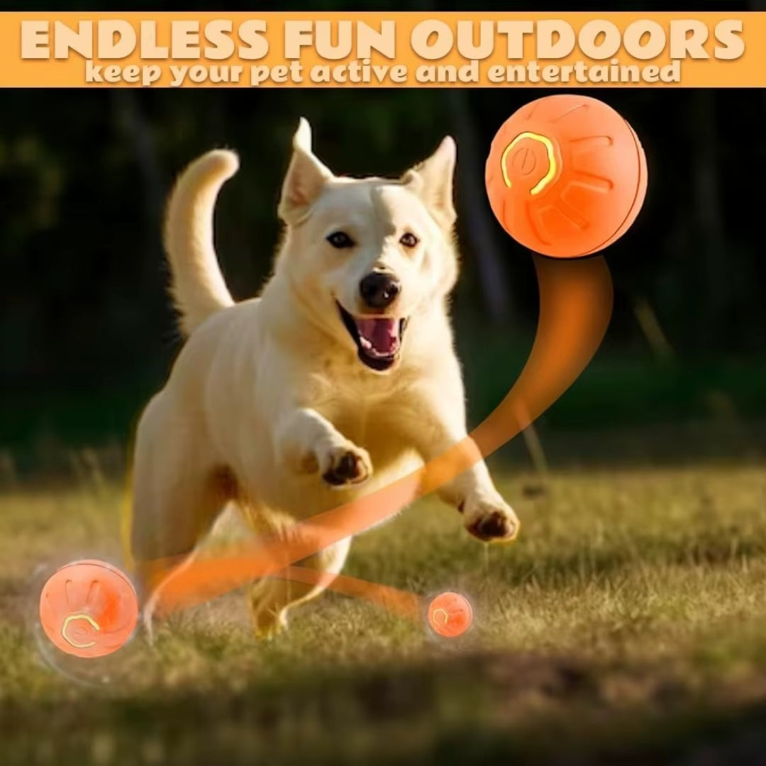 Oranje PawBall beweegt onder een tafel